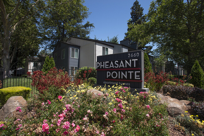 Photo - Pheasant Pointe Apartments