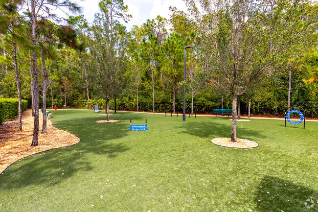 Large Dog Park