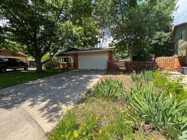 Photo - Adorable Home in West Fort Collins