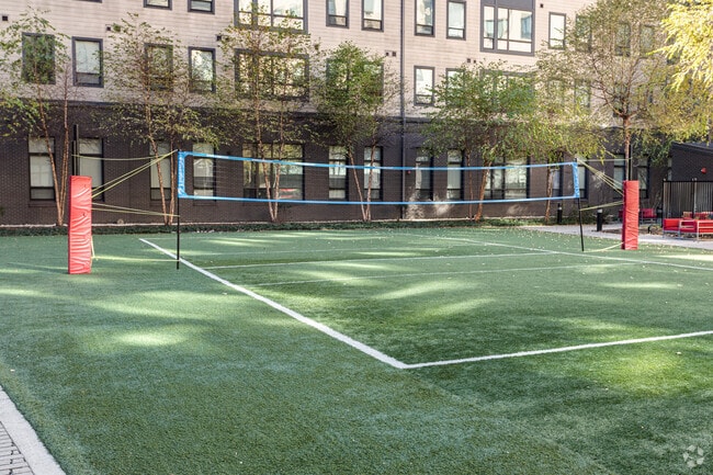 Building 2 Courtyard - Terrapin Row