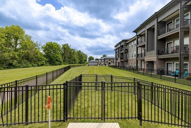 Off Leash Dog Park - The Retreat at Canal Apartments