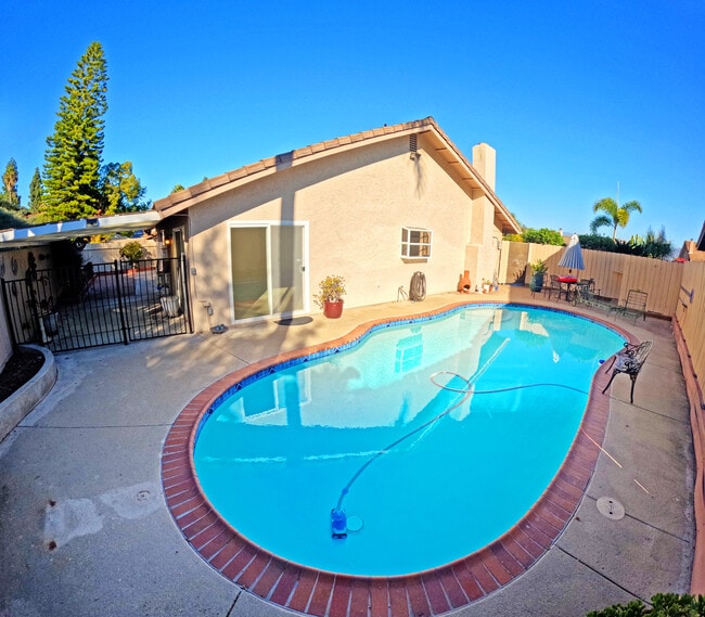 Pool - 776 Dewane Dr