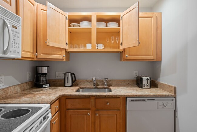 Photo - 15 Euston Rd Condo