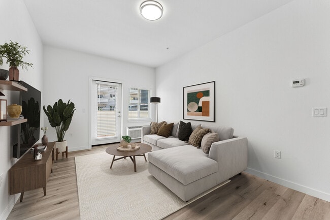 Photo - Spring Meadow