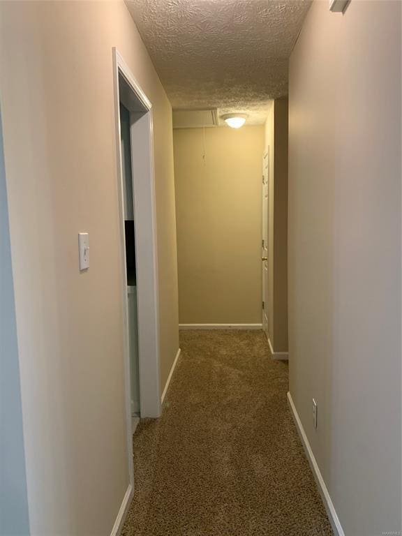 Photo - 131 Live Oaks Dr
