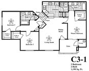 C3-1