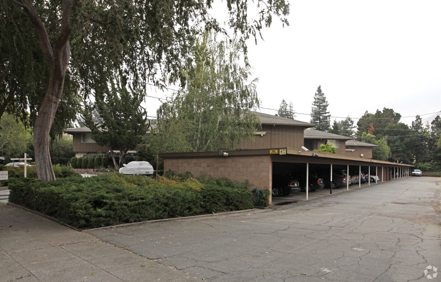 Wilkie Court Apartments - Wilkie Court Apartments