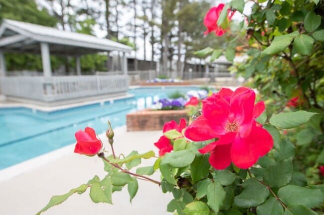 Photo - Windscape Homes