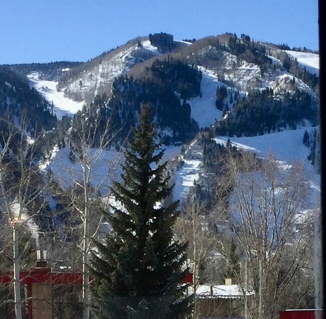 Building Photo - 333 Vine St Unit 333 Vine Street