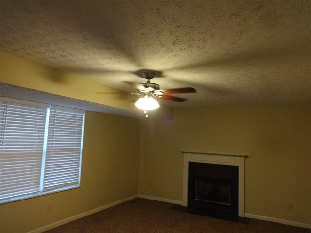 Photo - 1169 Vera Pl