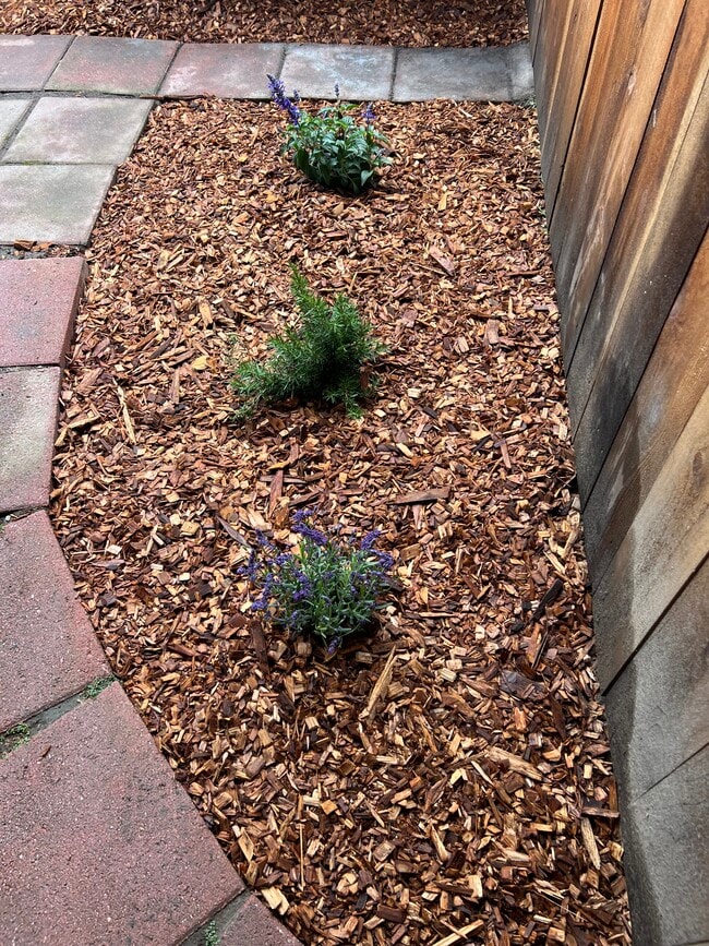 Photo - 337 Alta Ave Unit JADU