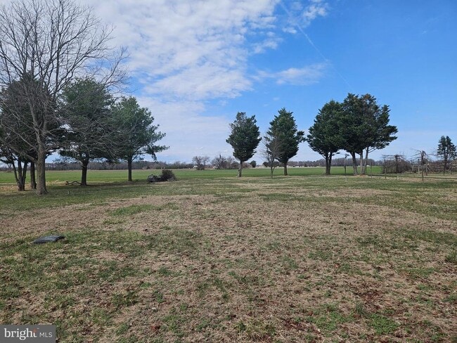 Photo - 873 Skeeter Neck Rd