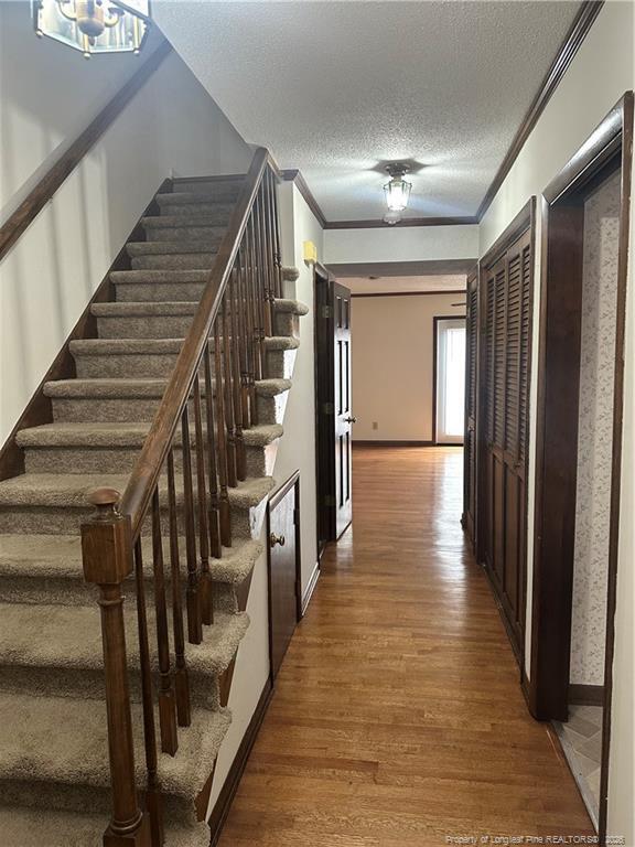 Photo - 3702 Cliffridge Dr