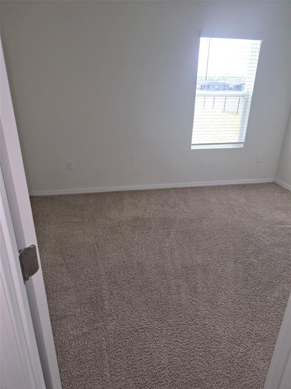 225 Caryota Ct