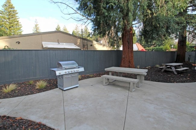 Photo - Terra Bella Apartments