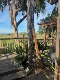 Photo - 270 Dutch Flat Ct Unidad Studio