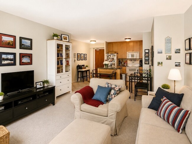 Photo - 155 N Harbor Dr Unit 3306