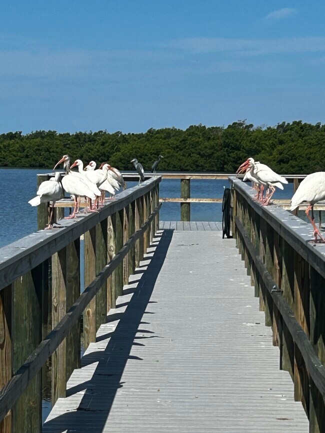 708 Estuary Dr Unit Perico Bay Club 2/2