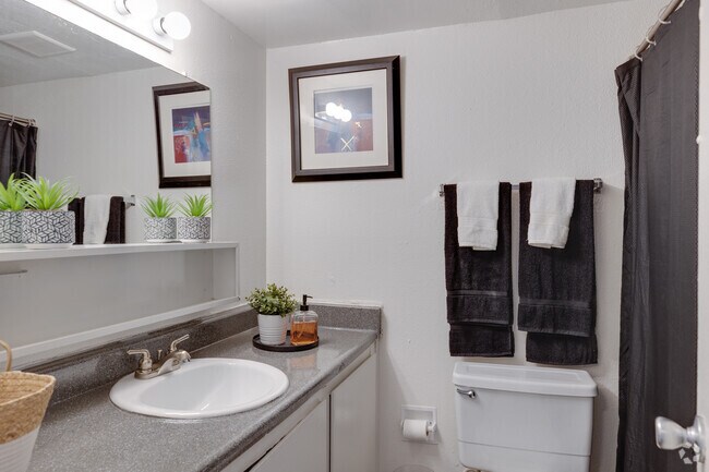 1 habitación, 1 baño - 550 pies cuadrados - Courtyard at Encanto Apartments