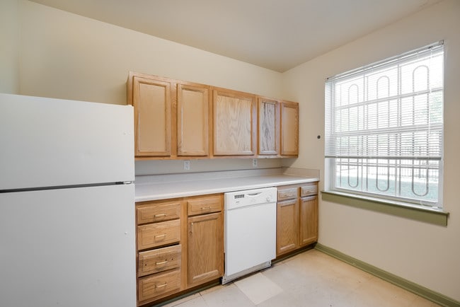 Photo - Collington Commons