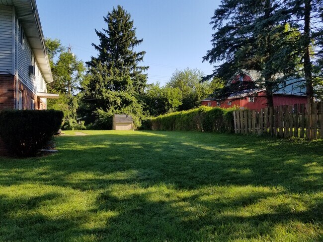 Yard