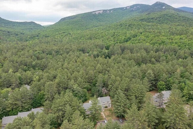 Photo - 22-Orris-F-1 Orris Rd