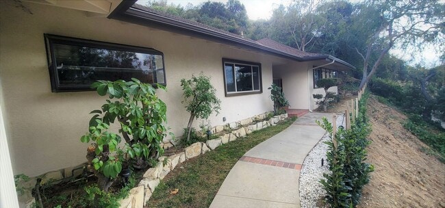 Photo - Classic, Midcentury 3 bedroom with Den, 2.5 bath home nestled into hillside with secluded backyar...