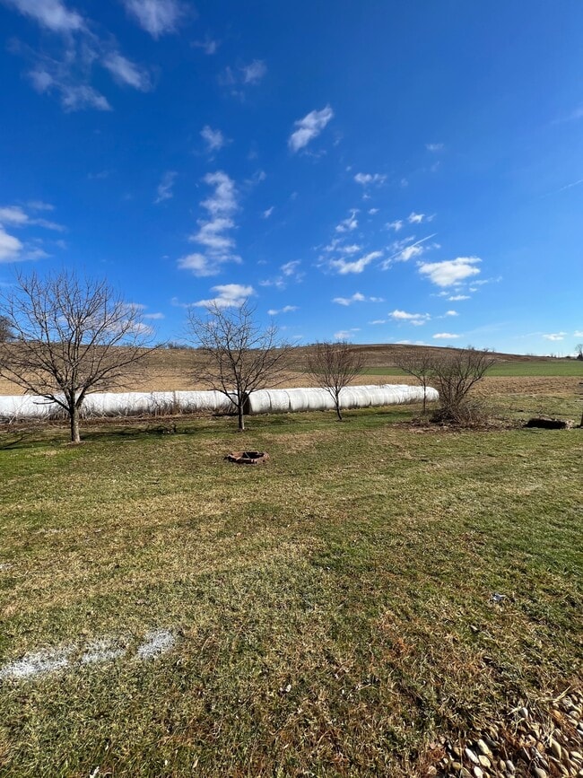 Photo - 18302 Danville-Jelloway Rd