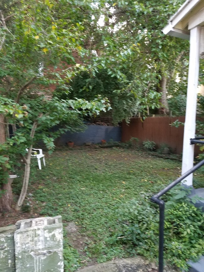 Fenced Back Yard