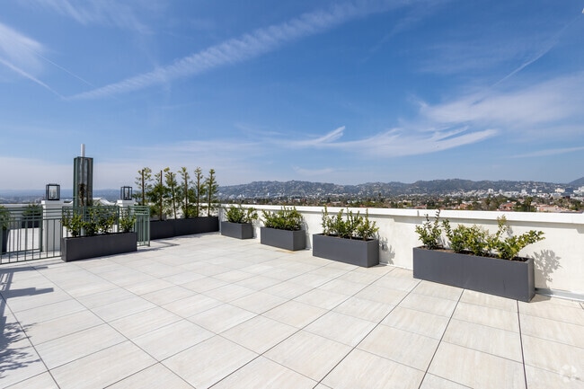 Rooftop