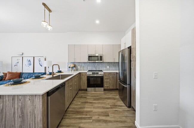 Photo - Webster Station Flats