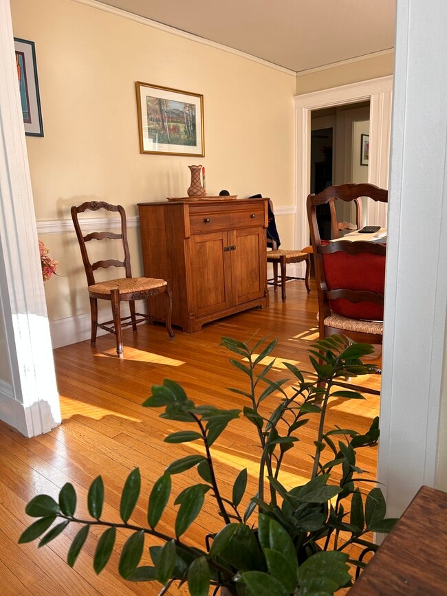 Photo - 224 Albion St Unit 1