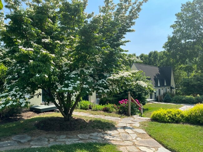 Photo - 375 Weaverville Rd Unidad 5