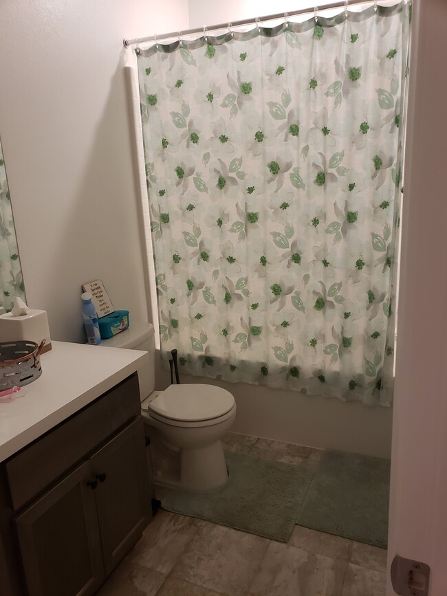 The bathroom you will use - 1519 Asteroid way Casa