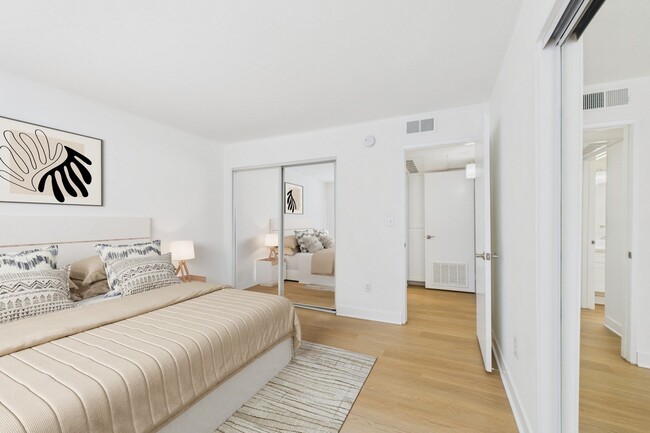 Photo - Willis Park South