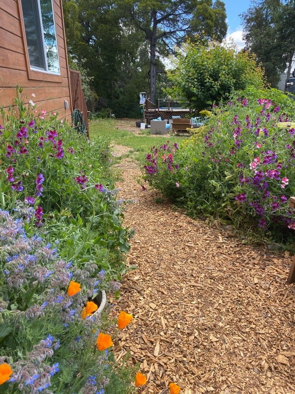 Photo - 4284 Maybelle Ave