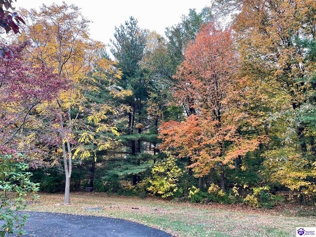 Photo - 913 Dogwood Cir