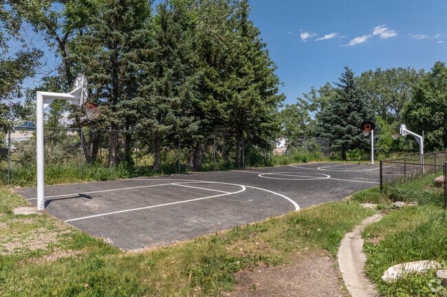 Basketball Court