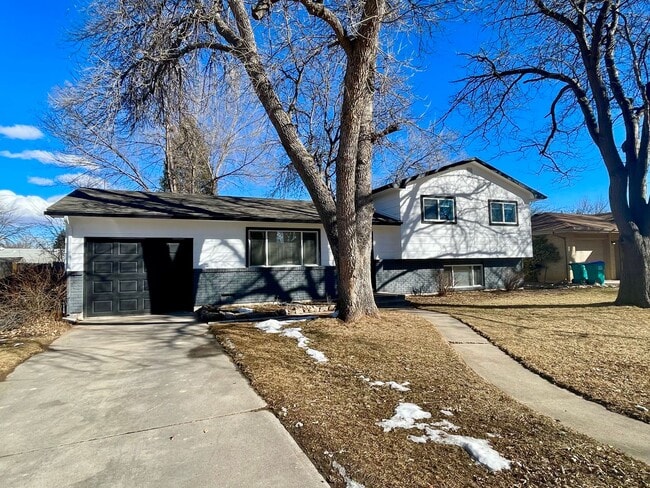 Photo - Newly Renovated 4 Bed 2 Bath House Near CSU!