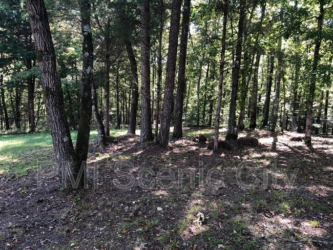 Photo - 7020 Cooley Rd