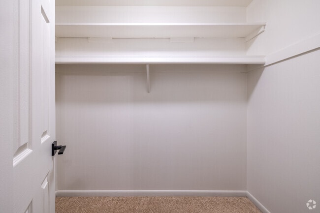 1BR, 1BA - 800SF - Walk-In Closet