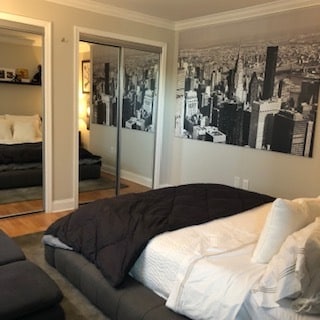 Bedroom - 236 E Delaware Ave Unit #211