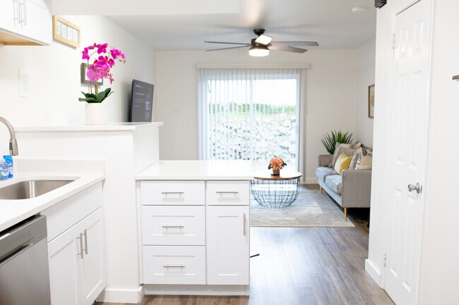 Spacious open floor plan