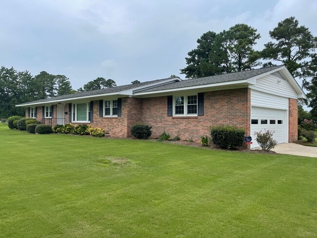 Photo - Darling on Deborah