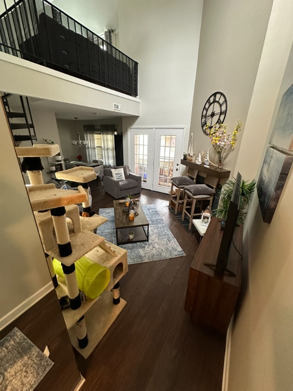 Photo - 197 Tavistock Rd