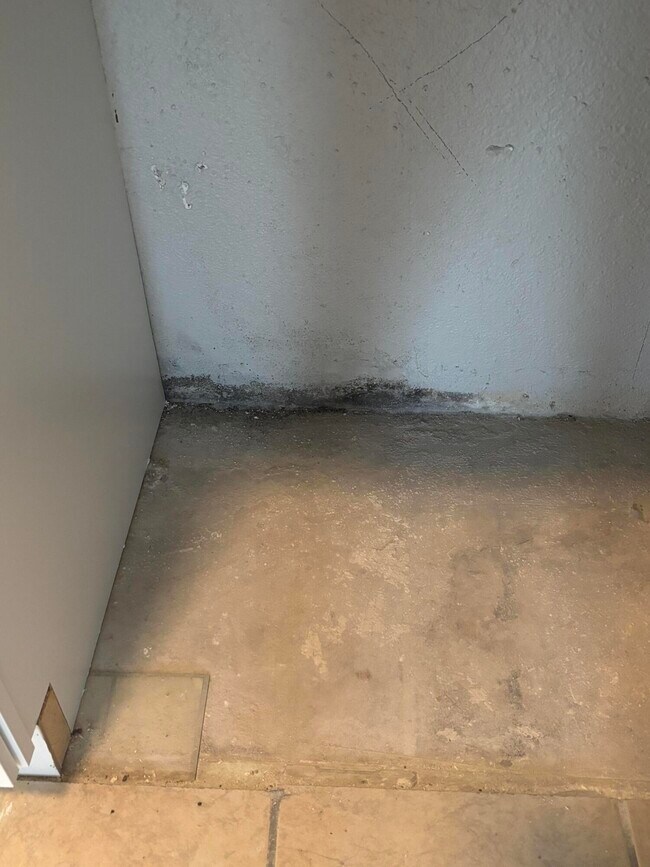 Photo - 650 Blakely Ave