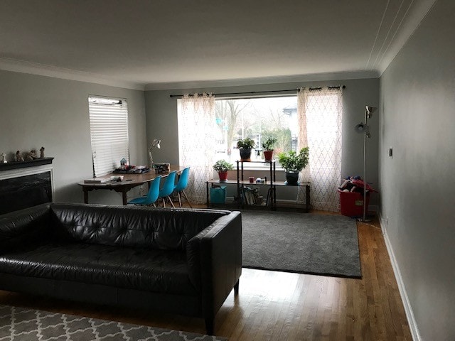 Segunda vista de la sala de estar - 435 N Oak Park Ave
