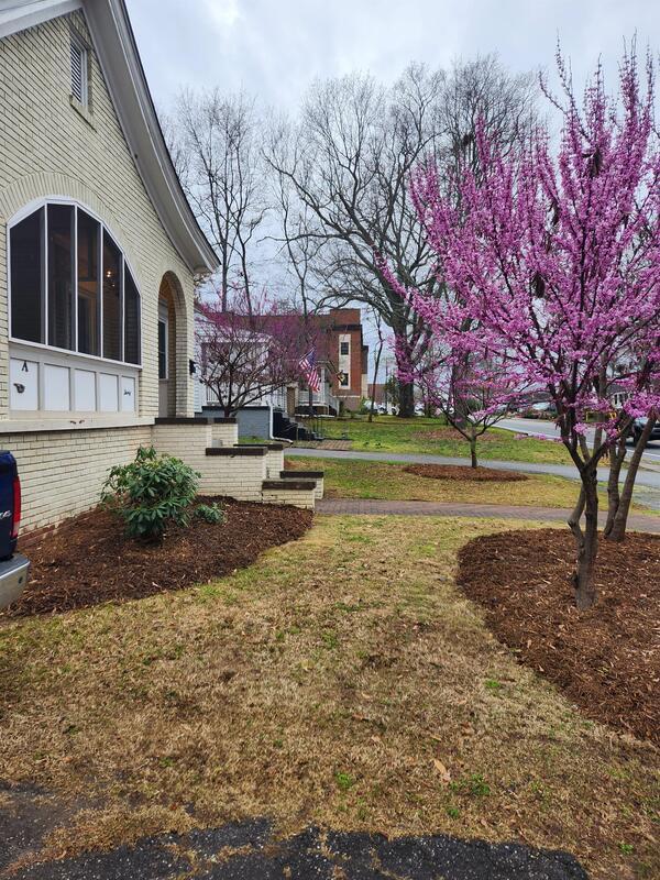 Photo - 30 E Faris Rd Casa