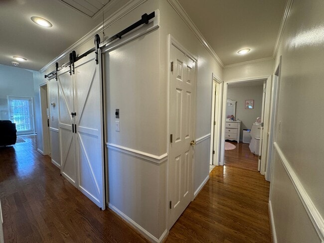 Photo - AVAILABLE TO SHOW!