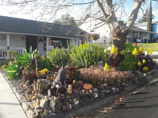 Frontyard Garden - 50 La Cruz Ave Rental